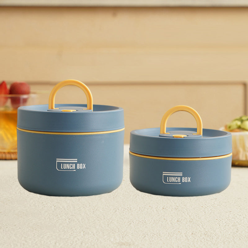 Portable insulated lunch box