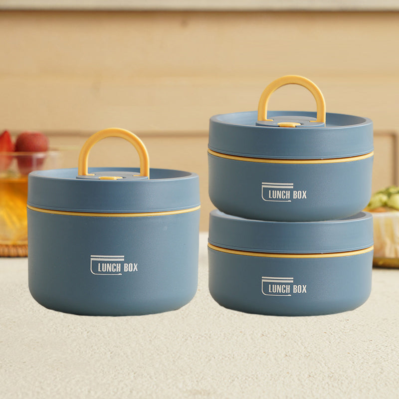 Portable insulated lunch box